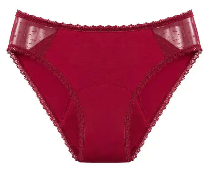 Reusable Heavy Female Period Panties Underwear Set Mesh Lace Menstrual Cycle Panties